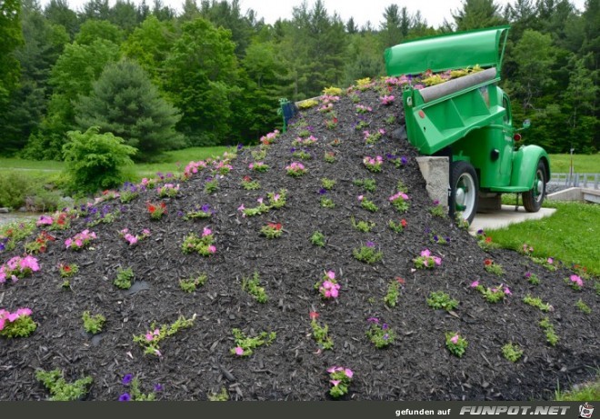 Spezielle Gartenkunst!