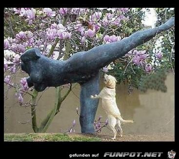 hund und statue