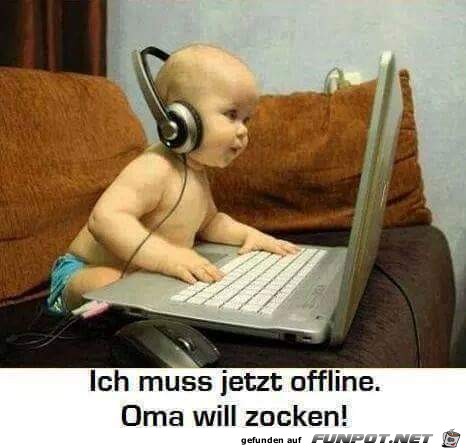 zocken zocken