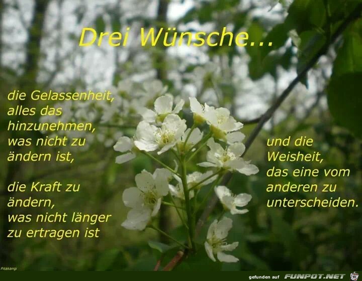 Drei Wnsche..