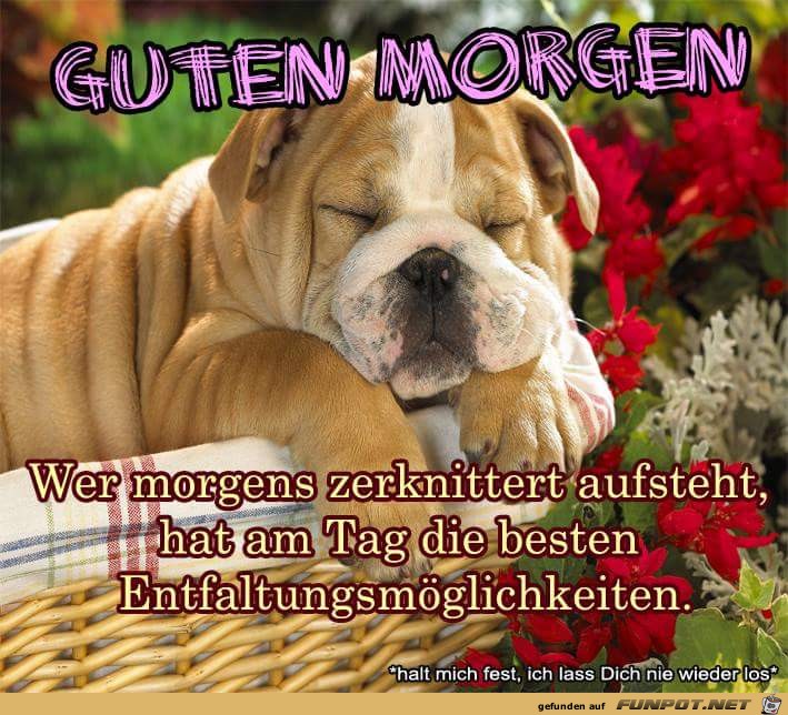 Guten Morgen