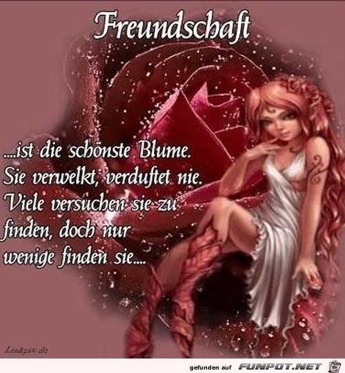 Freundschaft ist Freundschaft ist