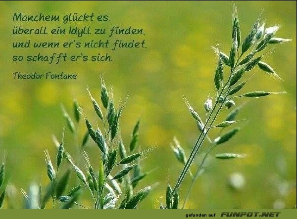 10 schne Sprche und Lebensweisheiten aus...