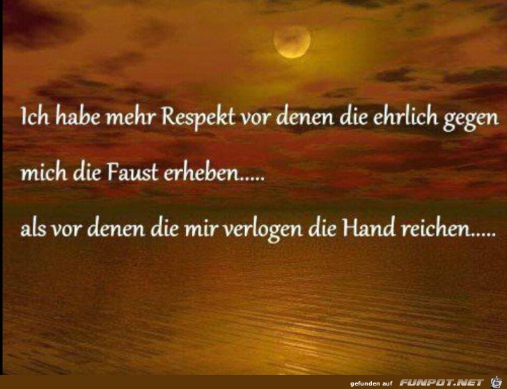 witzige Bilder