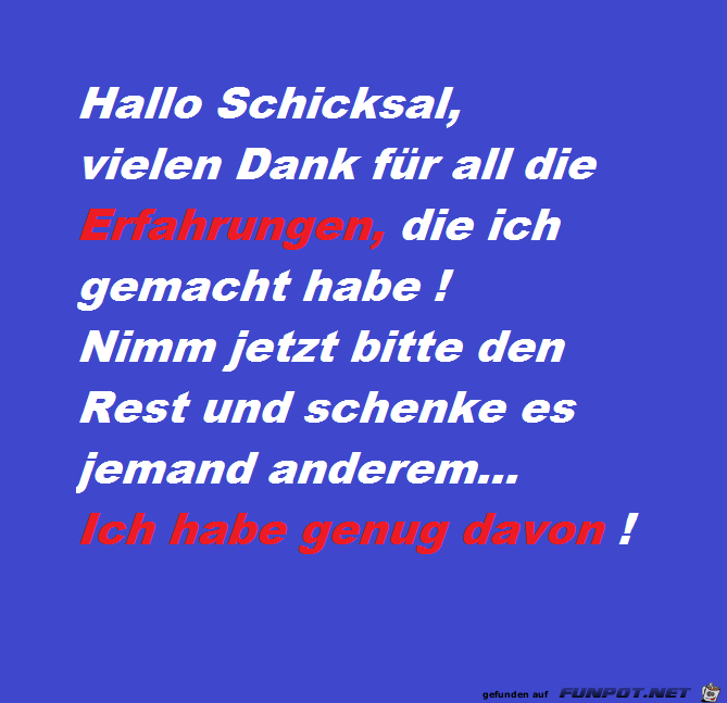 Hallo Schicksal