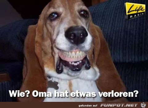 Verloren Verloren