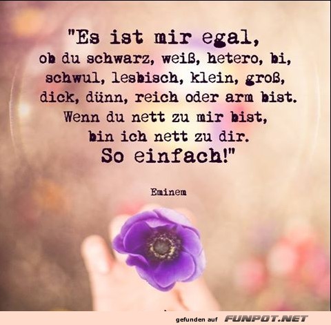 10 sch�ne Spr�che und Lebensweisheiten aus...