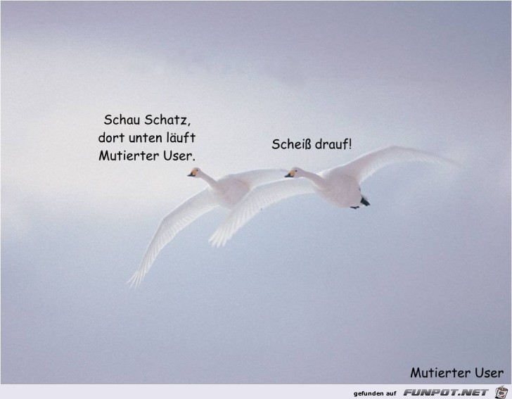 Mutierter User Mutierter User