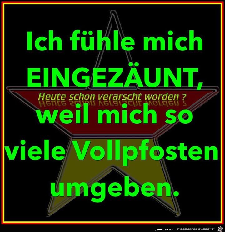 Zaun Zaun
