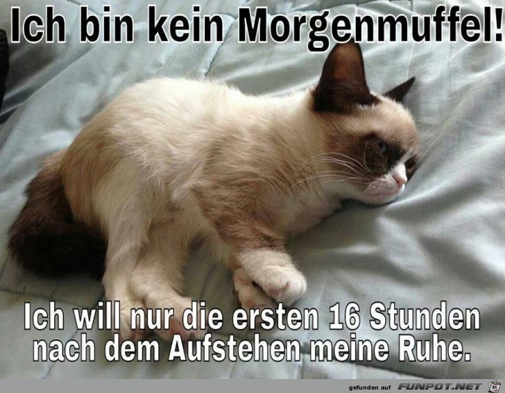 ich bin kein morgenmuffel