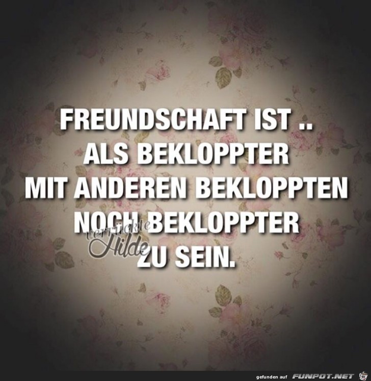 Freundschaft ist