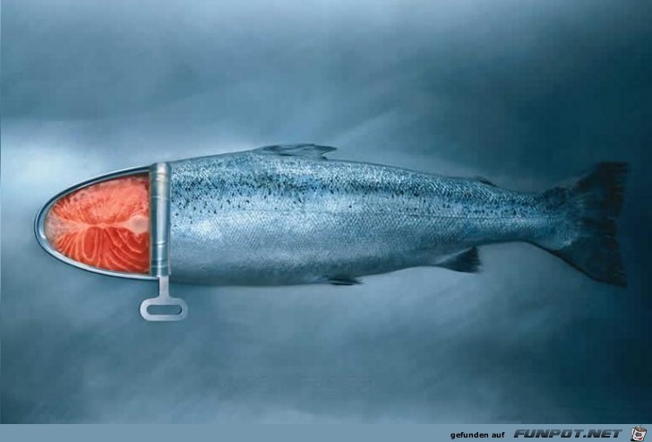 fisch fisch
