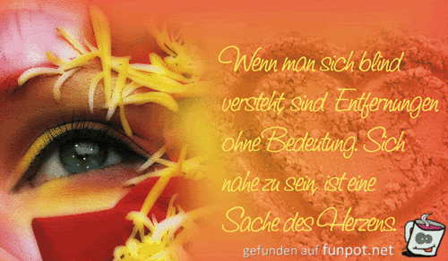 blind verstehen blind verstehen