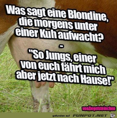Blondine3 Blondine3