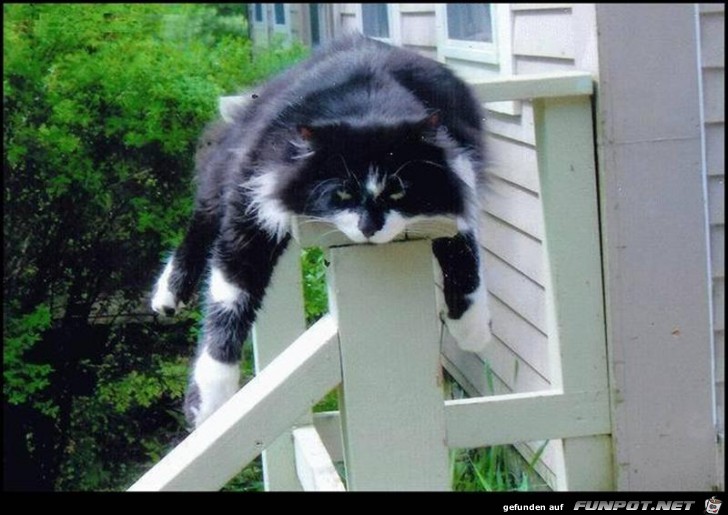 KaterHangover KaterHangover