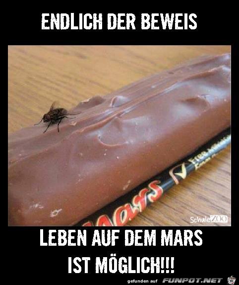 beweis beweis