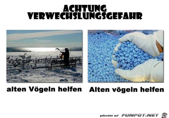 Alte Alte