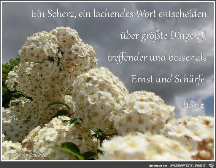 scherz scherz