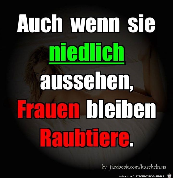 Niedlich Niedlich
