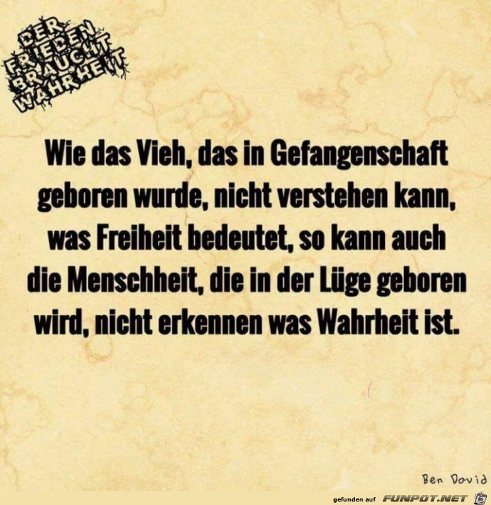 wie das Vieh das in Gefangenschaft geboren wurde wie das Vieh das in Gefangenschaft geboren wurde