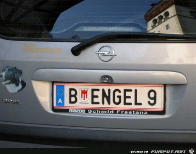 bengel