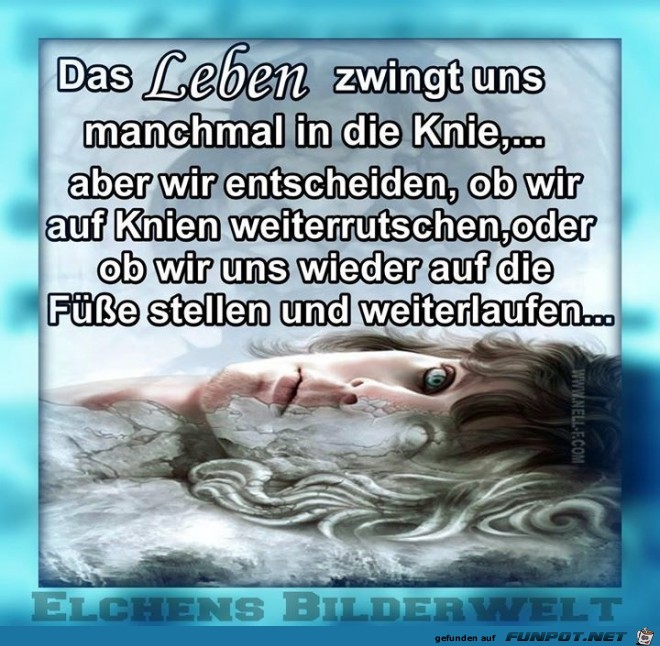 das Leben