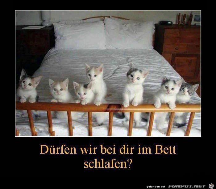Bett Bett