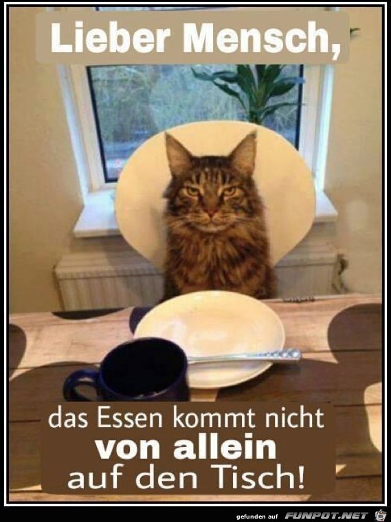 Lieber Mensch Lieber Mensch
