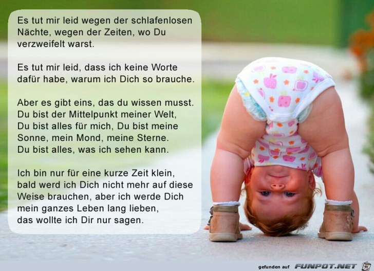 es tut mir leid es tut mir leid