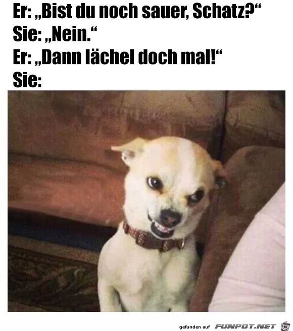 sauer sauer