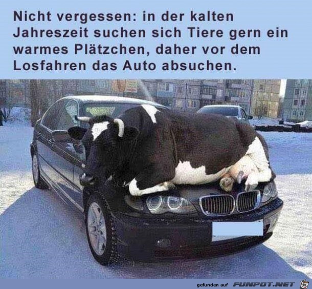 kalte jahreszeit kalte jahreszeit