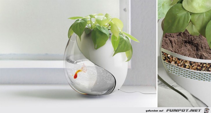 Design - von der Natur inspiriert 25 Design - von der Natur inspiriert 25