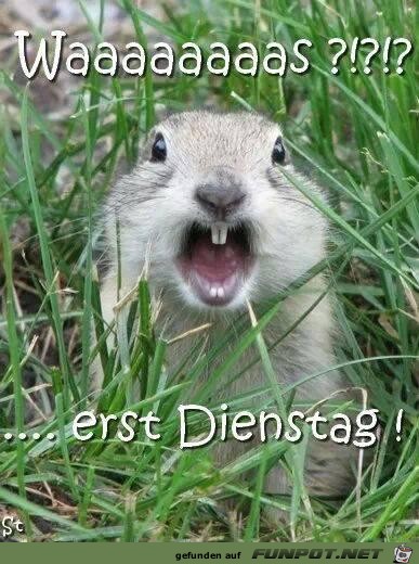 Dienstag