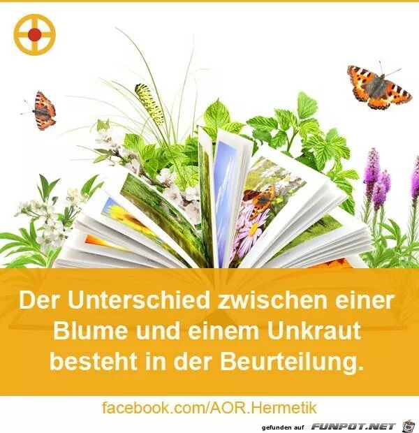 Unkraut Unkraut