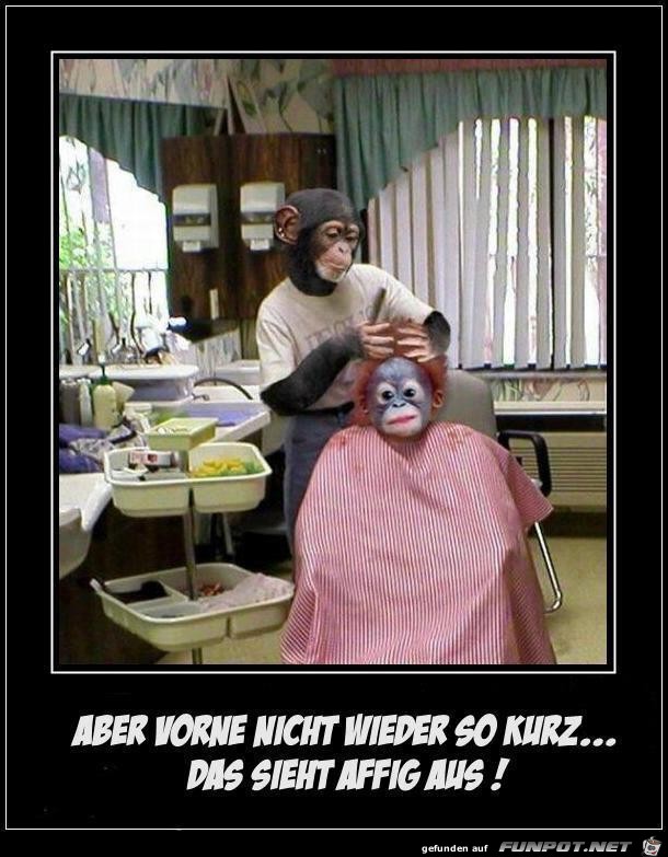 Affig Affig