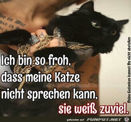 Ich bin so froh Ich bin so froh