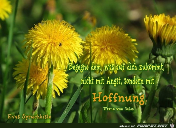Hoffnung 4 Hoffnung 4