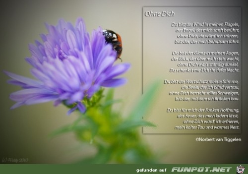 ohne dich 3 ohne dich 3