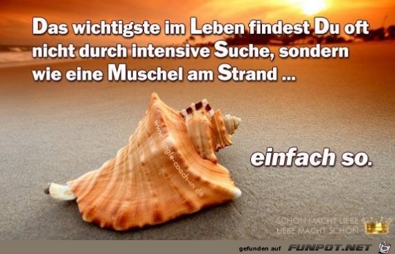 10 schne Sprche und Lebensweisheiten aus...