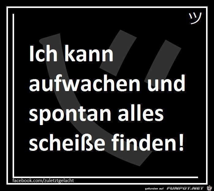 ich-kann-aufwachen-und-spontan-alles-schei-finden ich-kann-aufwachen-und-spontan-alles-schei-finden