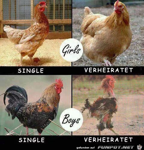 Single - verheiratet