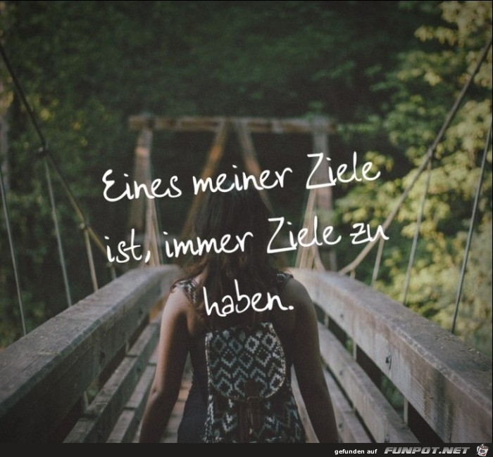 eines meiner Ziele eines meiner Ziele