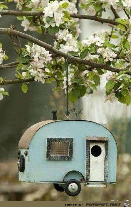 vogelhaeuschen vogelhaeuschen
