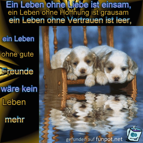 Freunde Freunde