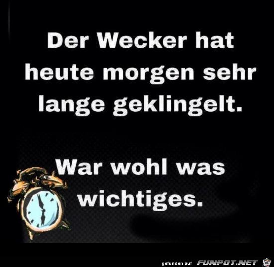 der Wecker der Wecker