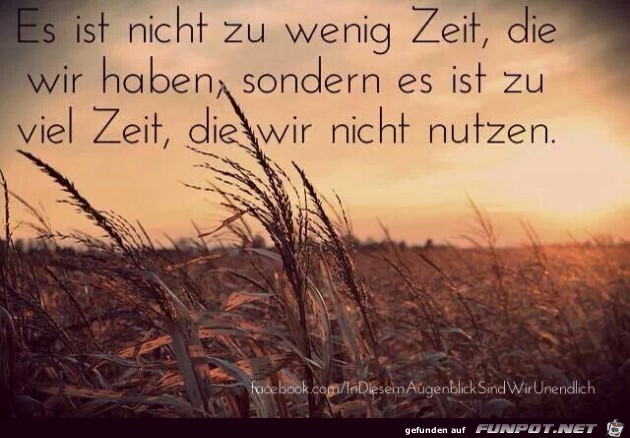 Es ist nicht zu wenig Zeit... Es ist nicht zu wenig Zeit...