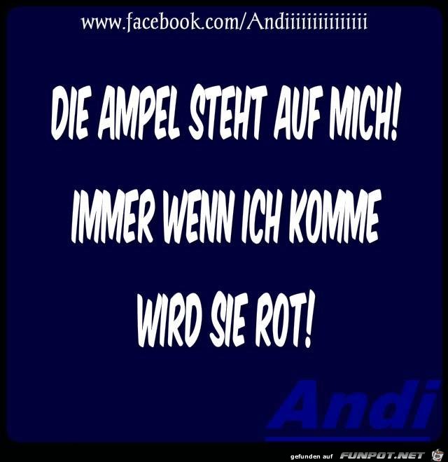 Rot Rot