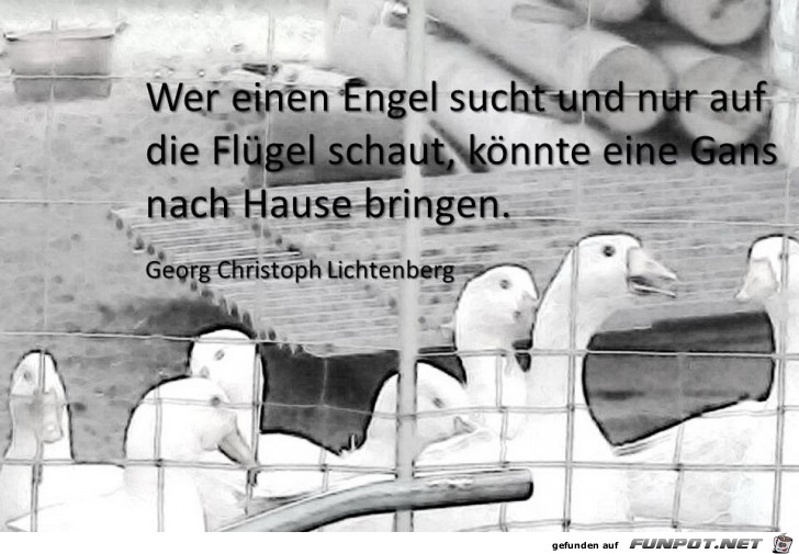 wer einen engel sucht...