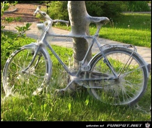 spinnweben spinnweben