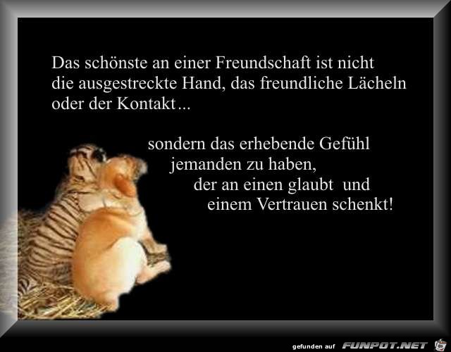 Freundschaft 